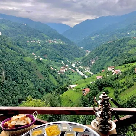 Hotel Zifona *