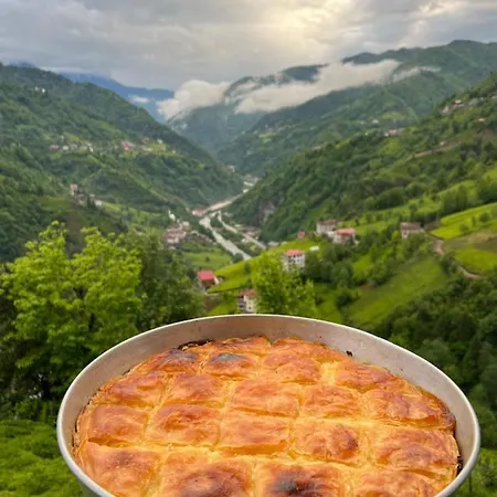 Zifona * Çamlıhemşin